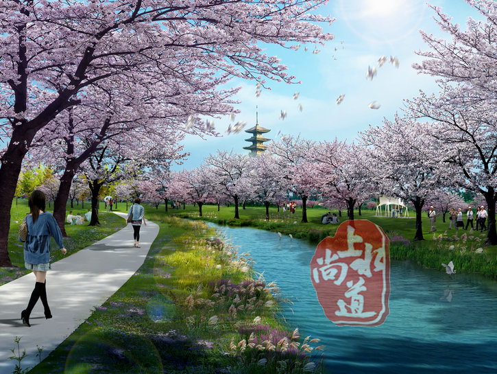 云南打造中國最美水上櫻花 ——湖北仙桃夢里水鄉水上櫻花園